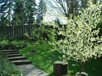 Side orchard&walkway