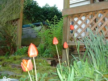 Steps & Beds below hot tub